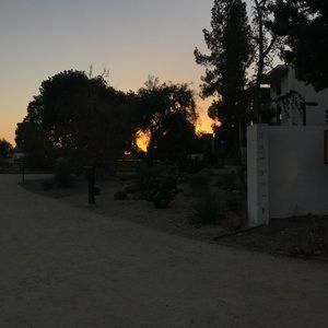 Meet your Posher, Mahima